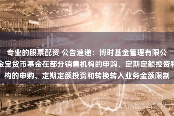 专业的股票配资 公告速递：博时基金管理有限公司关于调整旗下博时现金宝货币基金在部分销售机构的申购、定期定额投资和转换转入业务金额限制