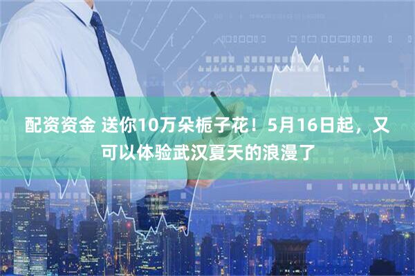 配资资金 送你10万朵栀子花！5月16日起，又可以体验武汉夏天的浪漫了